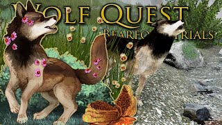 A Fragile FATE From MAJOR Injuries 🐺 Wolf Quest Bearfoot Wolves • 54 [upl. by Romona]