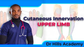 Cutaneous Innervation of the Upper Limb  Made Easy [upl. by Eidnar776]