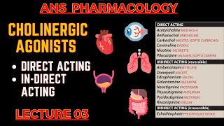 Cholinergic Agonists  Parasympathomimetic Drugs  Direct Acting amp indirect acting  L3 [upl. by Olraced293]