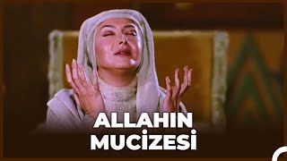 Züleyhanın Güzelleşme Mucizesi  Hz Yusuf 39 Bölüm [upl. by Gosnell]