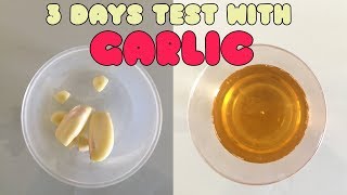 3 Days Pregnancy Test With Garlic 🌰 🌰  Negative Or Positive 🤔🤔 [upl. by Samson]