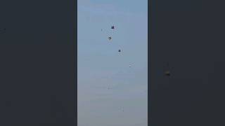 kite fighting long video  mono kite company ankit kite fight fighting [upl. by Elvyn]