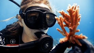 Fregate Island Coral restoration scaling up [upl. by Meingolda]