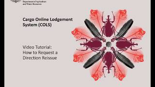 COLS Cargo Online Lodgement System How to Request a Direction Reissue [upl. by Viva603]