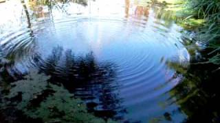 Ripples on a pond [upl. by Burrus]