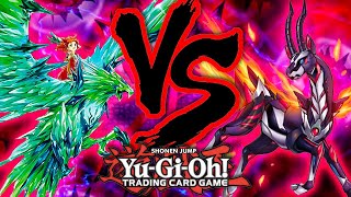 YuGiOh Crush Card Cup Round 9 Adamancipator vs Salamangreat April 2020 [upl. by Kalfas]