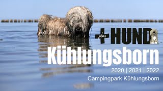 Campingpark Kühlungsborn 2020 2021 amp 2022 Camping mit Hund [upl. by Ateuqirne]