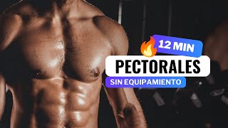 12 MIN RUTINA PARA PECTORALES Y HOMBROS🔥  Entrena Sin Equipamiento [upl. by Reffinnej275]