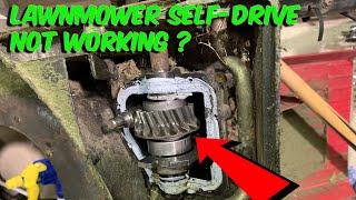 Lawnmower Self Drive Not Working Help And Repair [upl. by Tnahs285]