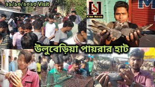 Uluberia pet market  Current Exotic Pigeons Price Update at Uluberia 21102023 Visit  One Moon [upl. by Tyler]