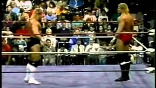 Worldwide 91  Lex Luger vs Sid Vicious [upl. by Anikahs622]