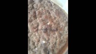 Maggots found in Big Mac from Doveton McDonalds [upl. by Gildas939]