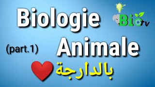 Biologie animale part 1  les protozoaires [upl. by Mellins590]