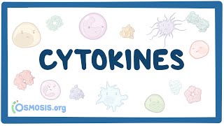 Cytokines [upl. by Prudie851]