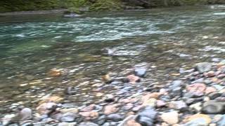 Rock Hounding by Trout Creek Campground [upl. by Neraa]