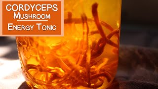 Cordyceps Mushroom Benefits as an Energy Tonic [upl. by Dnob]