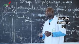 Cours  Terminale  SVT  La Physiologie nerveuse suite 3 [upl. by Eillah]