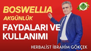 Mikrobik Olmayan Her Türlü Enfeksiyona Karşı Boswellia [upl. by Melak]