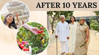 Met grandparents after 10 years  Organic farming in backyard 😱 Money cant buy this happiness 😊 [upl. by Ginsberg]