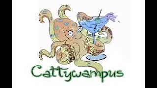 Playing with the Cattywampus [upl. by Marillin]