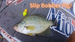 How To SLIB BOBBER Rig For CRAPPIE SIMPLE And EASY [upl. by Nitnilc]