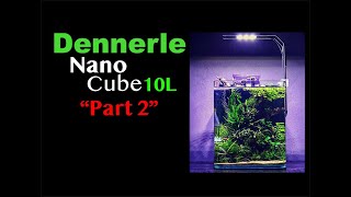 10L  25 Gallon Mini Aquascape I Part 2 I Drystart Completed Dennerle Nano Cube [upl. by Melak]