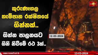 කුරුණෑගල තැම්පාන රක්ෂිතයේ ගින්නක් ගින්න පාලනයට ගිනි නිවීමේ රථ 3ක් [upl. by Albin]