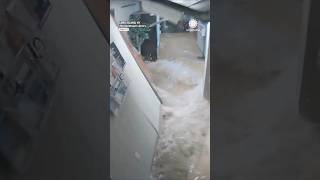 Flash Flood Wave of Water Destroys Local Library [upl. by Jonie]