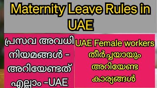 UAE maternity leave rules malayalam പ്രസവ അവധി നിയമങ്ങൾ UAE pregnancy leave UAE uae maternity [upl. by Moll273]