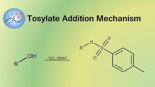 Adding Tosylate Group Mechanism  Organic Chemistry [upl. by Nolrak408]