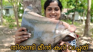 തിരണ്ടി മീൻ കറി വച്ചത് 10kg fish fishcutting viral bigfish recipe thirandi [upl. by Larue]