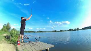 Carp Run Compilation 2016  Karpiowe brania  Zig Rig [upl. by Seda]