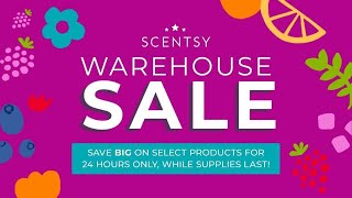 Scentsy Warehouse Sale Haul 💜July 2024💙 [upl. by Nitram]