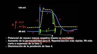 CURSO DE ELECTROCARDIOGRAFIA 62  HIPERKALEMIA Y POTENCIAL DE ACCIÓN [upl. by Cornwall]