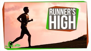 What Causes Runners High [upl. by Limaa]