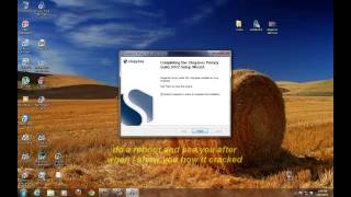 how to install steganos 2012 full [upl. by Eicarg593]