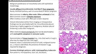 Pleural and Peritoneal Tumors Kurt’s Notes pathagonia [upl. by Siraj]