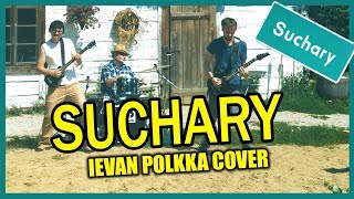 Ievan Polkka ROCK COVER SUCHARY  Cyber Marian Vordrab amp Królowie Żyta [upl. by Allison]