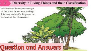 6th Science lesson 3 Diversity in living things and their classification Question and Answers [upl. by Aidiruy]