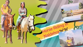 Naldehra Horse Riding  Shimla  Places to visit in Shimla  🏇horseriding [upl. by Weissmann]