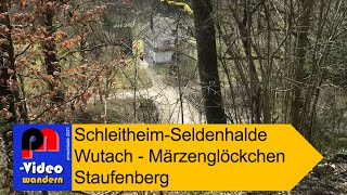 Wanderung zu den Märzenglöckchen in Schleitheim [upl. by Ettevahs]