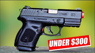 Top 10 Budget Handguns for Personal Safety [upl. by Viafore340]