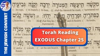 Exodus Chapter 25  Torah Reading in Hebrew with English Translation  TORAH STUDY [upl. by Dionne]