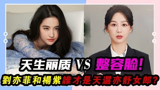 天生麗質VS整容臉！劉亦菲和楊紫誰才是天選亦舒女郎？《玫瑰的故事》劉亦菲《承歡記》楊紫萬茜朱珠陳瑤吳玉芳于慧張月藍盈瑩黃羿竇若兮佟大為林更新林一彭冠英霍建華 [upl. by Herr342]