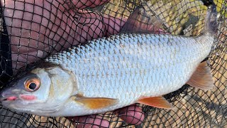 Fishing in mid Feb and having a lot of fish for the time of year Lots of bites  a great day out [upl. by Eisaj469]