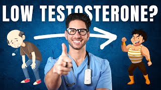 Testosterone amp Testosterone Replacement Therapy TRT  Dr Peter Attia amp Dr Andrew Huberman [upl. by Vincenty]