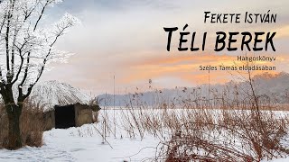 Fekete István Téli berek [upl. by Ecilef818]