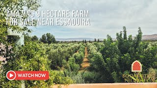 Essaouira Olive Farm For Sale Essaouira [upl. by Eniffit]