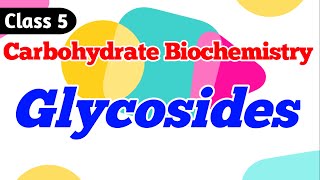 Glycosides  What are Glycosides Carbohydrate Biochemistry Class 5 [upl. by Goddart]