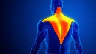 Trapezius Muscle Pain with blue background stock footage  stock video  Cinefootage [upl. by Nnyleitak]